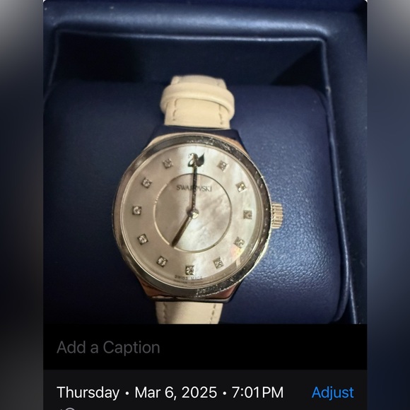 Swarovski Dreamy Leather Watch - Picture 17 of 17